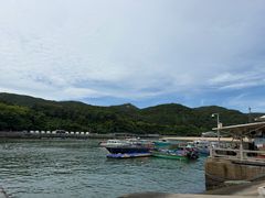 -东澳岛