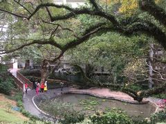 -香港大学