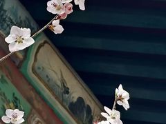 -颐和园