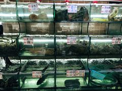 水产区-覃记海鲜美食餐厅