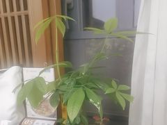 -茶港食堂(武昌店)