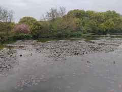 -白马涧龙池景区