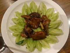 -乔家栅(襄阳南路店)