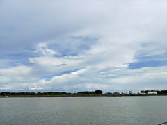 -大湾区中央湿地公园-十九涌