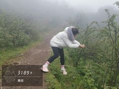 -轿顶山景区