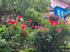 -芜湖方特东方神画