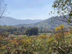 -塔川景区