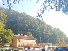 -栾川竹海野生动物园