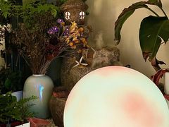 -大鱼·养生·禅洗头疗·按摩SPA
