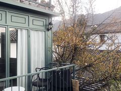 -喵屿·大理花园猫咖