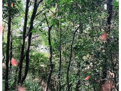 -千岛湖东南湖区