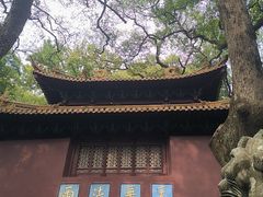 -普陀山风景区-佛顶山