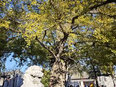 -北京石刻艺术博物馆(五塔寺)