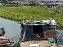 -君豪蟹都·湖景·农家乐(蟹舫苑店)