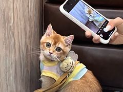 -潮悦牛肉火锅城(水贝店)