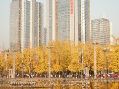 -两江幸福广场