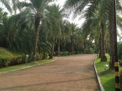 iphone_upload_pic-圣爵菲斯大酒店(长沙世界之窗店)