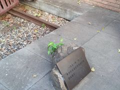 -老外街