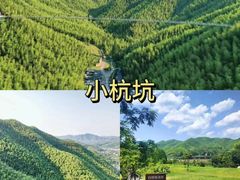 -老李家土菜馆·安吉地标美食
