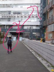 点击看大图 -藤野造型·专业烫染店