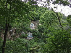 -香炉山国家森林公园