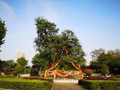 -西安汉城湖景区