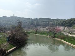 -苏州上方山国家森林公园