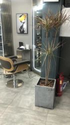 点击看大图 -ON STAR SALON