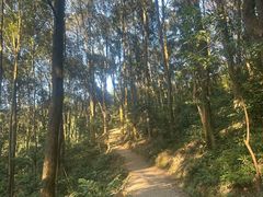 -广州市帽峰山景区