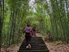 -沐川竹海旅游景区