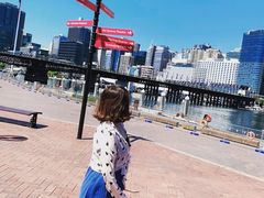 -悉尼歌剧院