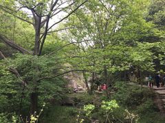 -木兰云雾山