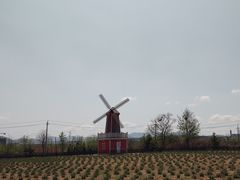 -羊亭河湿地公园