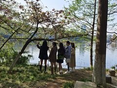 -甘棠公园