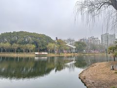 -新江湾城公园