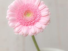 -拾味中点(泺文路店)