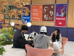 -帕帕拉兹宠物(亚洲旗舰店)