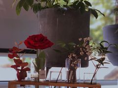 -蝶舍·MAISON PAPILLON