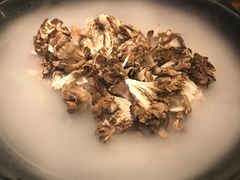 日本有机舞菇-煲宫(华润万象城店)