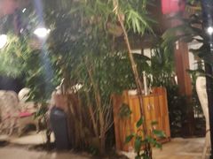 -大鹅岛绿色生态美食园