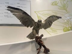 -扬州科技馆