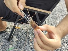 -DGE季风钓虾营地·团建·聚会