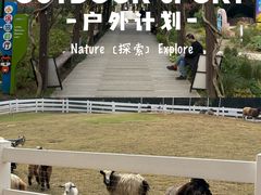 -白马涧龙池景区