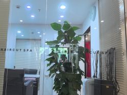 -艾米莉 烫染沙龙