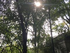 -采石矶景区