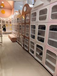 -meland club亲子乐园(重庆万象城店)