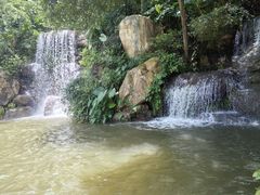 -广州市帽峰山景区