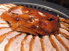 -守柴炉烤鸭(科华中路王府井店)