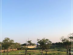 -春花秋色城市公园