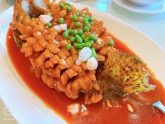 -玫瑰厅上海菜(兴国路店)